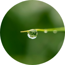 雨水と同じ排水のイメージ